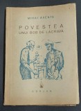 Povestea unui bob de lacrima - Mihai Axente