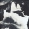 icon 11