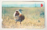 bnk card Cartele telefonice - Turcia - fauna - pasari