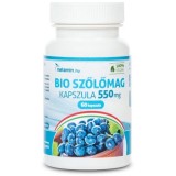 Capsule vegane cu extract din samburi de struguri 550 mg Netamin 60 buc