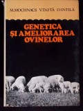GENETICA SI AMELIORAREA OVINELOR-M. MOCHNACS, V. TAFTA, I. VINTILA-364184