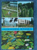 234 Cluj-Napoca Gradina Botanica /carte postala necirculata, Fotografie