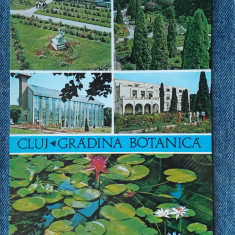 234 Cluj-Napoca Gradina Botanica /carte postala necirculata