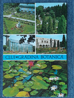 234 Cluj-Napoca Gradina Botanica /carte postala necirculata foto