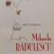 Niste raspunsuri - 2009 - Mihaela Radulescu (E114)