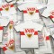 Magnet frigider-fotbal - VFB STUTTGART (Germania)