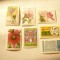 Lot 7 Timbre Brazilia nestampilate ,serie 1 val. sau deparaiate : Flori ,Agricul