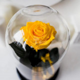 Trandafir Criogenat XL galben &Oslash;6,5cm in cupola de sticla