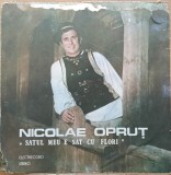 Disc Vinil Nicolae Opruț - Satul Meu E Sat Cu Flori - Electrecord Cat. ST-EPE 03649