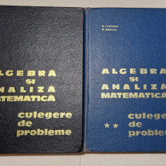 D. Flondor, N. Donciu - Algebra si analiza matematica (2 vol.)