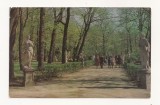 FA48-Carte Postala- RUSSIA- Leningrad, Gradina de vara, necirculata