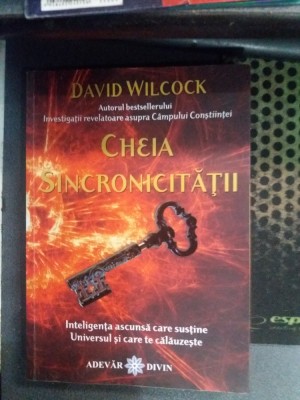David Wilcock - Cheia Sincronicitatii foto