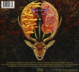 Gold &amp; Grey | Baroness