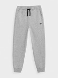 Pantaloni jogger de molton pentru băieți, 4F Sportswear