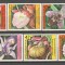 Bulgaria.1986 Flori-Orchidee SB.184