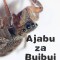 Amazing Spiders - Ajaba zu Buibui