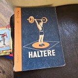 Haltere - N.I. Lucikin
