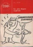 Ce stim despre anghilule?