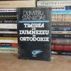 DUMITRU STANILOAE - TRAIREA LUI DUMNEZEU IN ORTODOXIE , CLUJ-NAPOCA , 1993 *