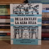 MIRCEA DOGARU - DE LA ESCULEU LA ALBA IULIA : UN MILENIU DE ISTORIE ROMANEASCA , 1993 *