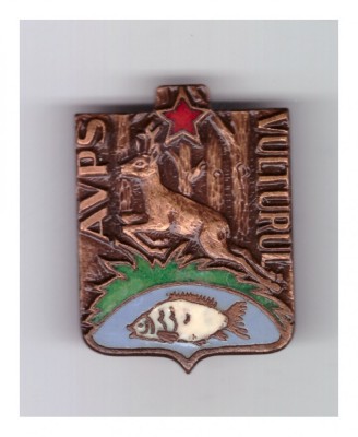Insigna AVPS Vulturul foto