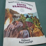 Cumpara ieftin FOCUL PAMANTULUI -IOAN CERNAT