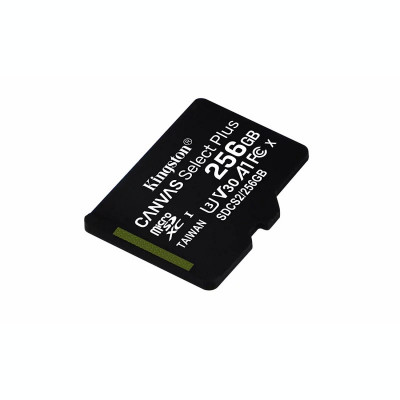 CARD MicroSD KINGSTON 256 GB microSDXC clasa 10 standard UHS-I U3 &amp;amp;quot;SDCS2/256GBSP&amp;amp;quot; foto