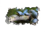 Cumpara ieftin Autocolant decorativ, Gaura in perete, Natura si peisaje, Multicolor, 85 cm, 2664ST-3, Oem