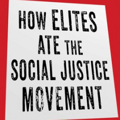 How Elites Ate the Social Justice Movement