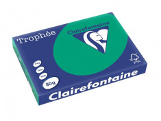 Hartie color Clairefontaine Intens A3 verde ich foto