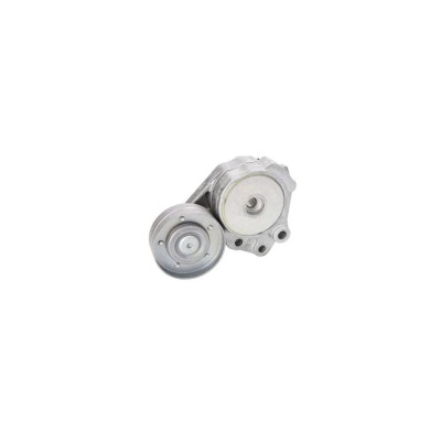 Intinzator curea VW PASSAT Variant 3C5 DAYCO APV2750 foto