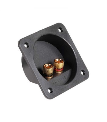 Conector boxa 2 terminale aurite foto