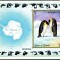 Umm al Qiwain 1971 - Fauna, pinguini, colita neuzata