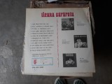 Vinyl Ileana Sararoiu vintage