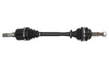 Planetara OPEL MOVANO platou / sasiu (U9, E9) (1998 - 2010) RINGER 1131006162