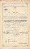 A3699N Decret de numire &icirc;n funcția de forestier, 1907, Caransebeș, semnat olograf de Iosif Olariu