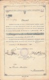 A3699N Decret de numire &icirc;n funcția de forestier, 1907, Caransebeș, semnat olograf de Iosif Olariu