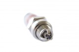 Bujie drujba 3 capete (10pcs) FarmGarden AgroTrade