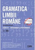 Gramatica limbii romane. Exercitii &ndash; antrenament si performanta. Clasa a VII-a - Corint