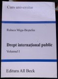Drept international public - Raluca Miga Besteliu vol.1
