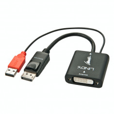 Adaptor DVI-D la Displayport M-T Activ alimentare USB, Lindy L38145 foto