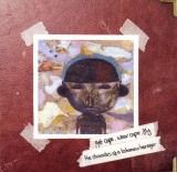 The chronicles of a bohemian teenager | Get Cape Wear Cape Fly, Alternativa/Indie, Warner Music