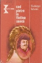 Cad pietre in fintina seaca foto