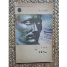 CEZAR-D. TUDOR