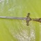 G171-Stilet vintage panoplie maner cu soldat metal bronzuit lama otel gravat.
