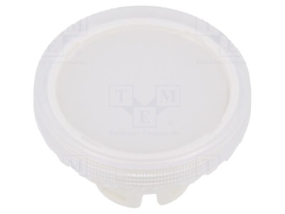 Lentilă transparentă plastic 22mm foto