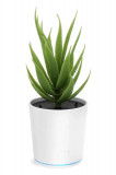 Purificator de Aer, In Forma de Planta Aloe Commixta, pentru Casa/Birou si Masina, Incarcare USB, LED 360 de grade, Silentios, Alb/Verde, Oem