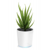 Purificator de Aer, In Forma de Planta Aloe Commixta, pentru Casa/Birou si Masina, Incarcare USB, LED 360 de grade, Silentios, Alb/Verde