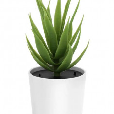 Purificator de Aer, In Forma de Planta Aloe Commixta, pentru Casa/Birou si Masina, Incarcare USB, LED 360 de grade, Silentios, Alb/Verde