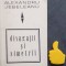 Divagatii si simetrii Alexandru Jebeleanu